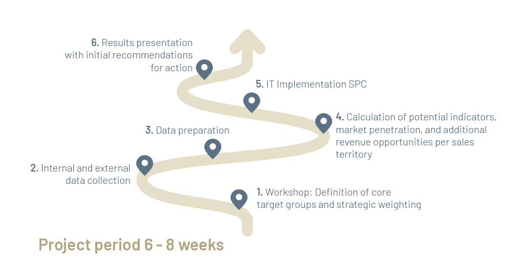Project Process
